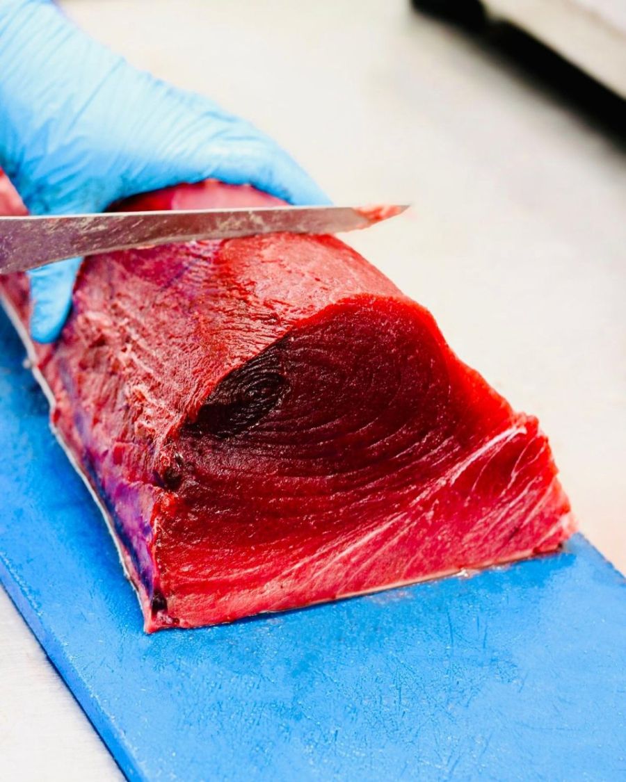 Tuna Fish