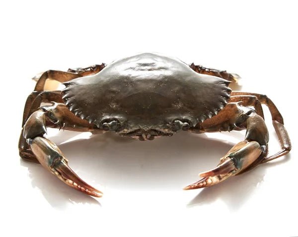 Crab