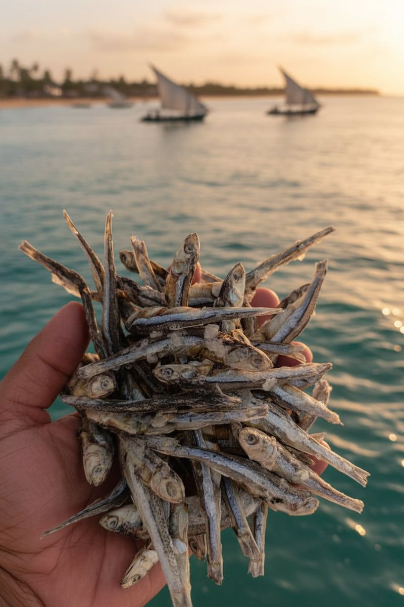 Dried seafood and sea moss