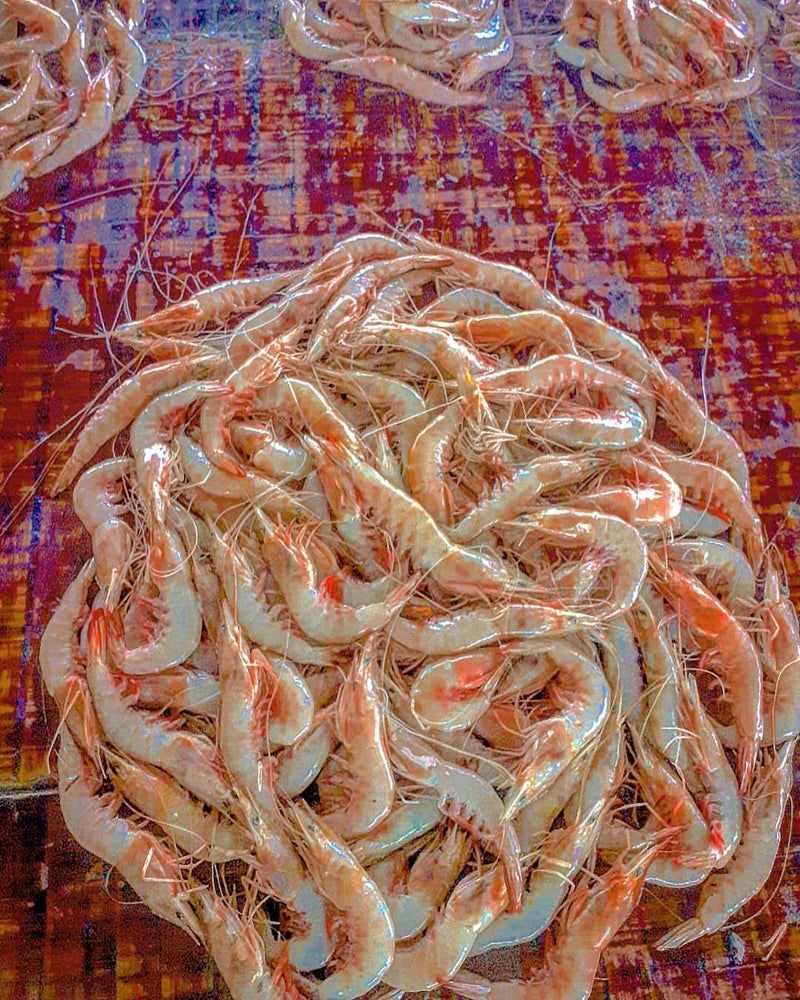 Prawns Cocktail
