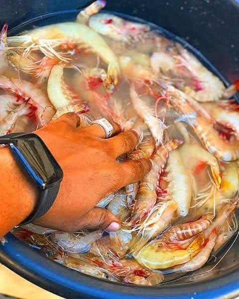 Prawns S1